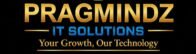 Pragmindz